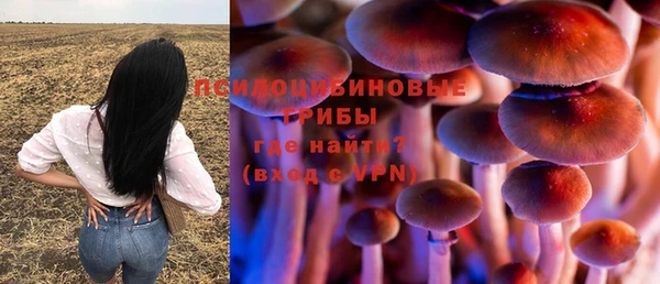 крисы Новокубанск